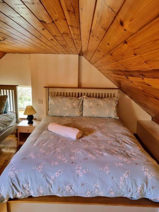 Cottage Skelligs Coast, Ring Of Kerry Cahersiveen Extérieur photo