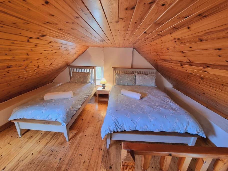 Cottage Skelligs Coast, Ring Of Kerry Cahersiveen Extérieur photo